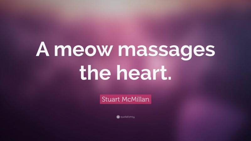 Stuart McMillan Quote: “A meow massages the heart.”