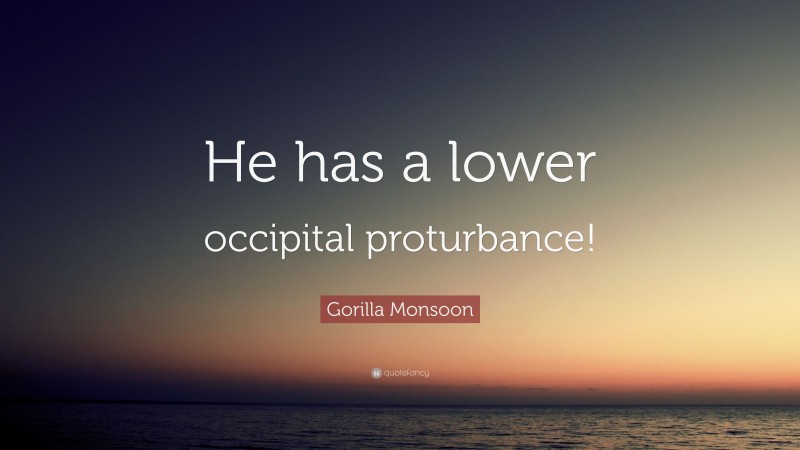 Gorilla Monsoon Quote: “He has a lower occipital proturbance!”