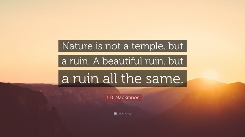 J. B. MacKinnon Quote: “Nature is not a temple, but a ruin. A beautiful ruin, but a ruin all the same.”