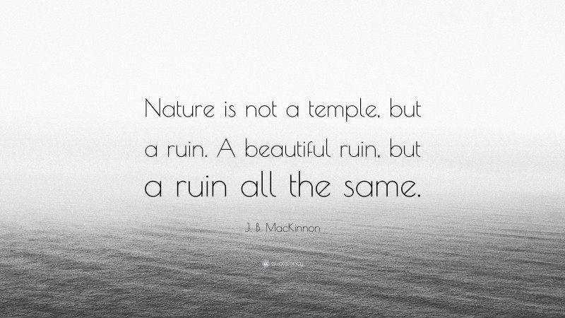 J. B. MacKinnon Quote: “Nature is not a temple, but a ruin. A beautiful ruin, but a ruin all the same.”