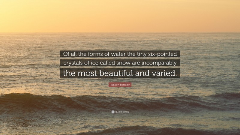 Wilson Bentley Quote: “Of all the forms of water the tiny six-pointed crystals of ice called snow are incomparably the most beautiful and varied.”