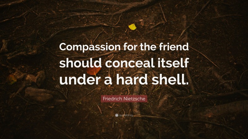 Friedrich Nietzsche Quote: “Compassion for the friend should conceal itself under a hard shell.”
