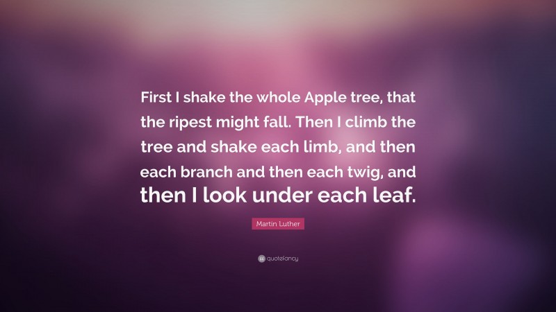Martin Luther Quote: “First I shake the whole Apple tree, that the ripest might fall. Then I climb the tree and shake each limb, and then each branch and then each twig, and then I look under each leaf.”