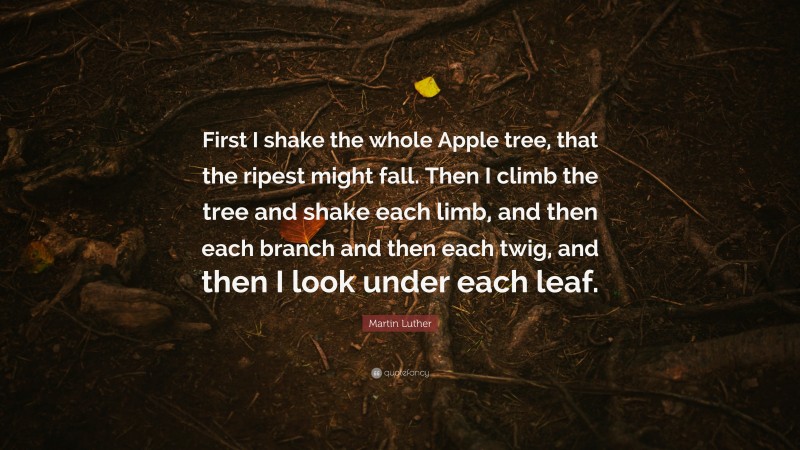 Martin Luther Quote: “First I shake the whole Apple tree, that the ripest might fall. Then I climb the tree and shake each limb, and then each branch and then each twig, and then I look under each leaf.”