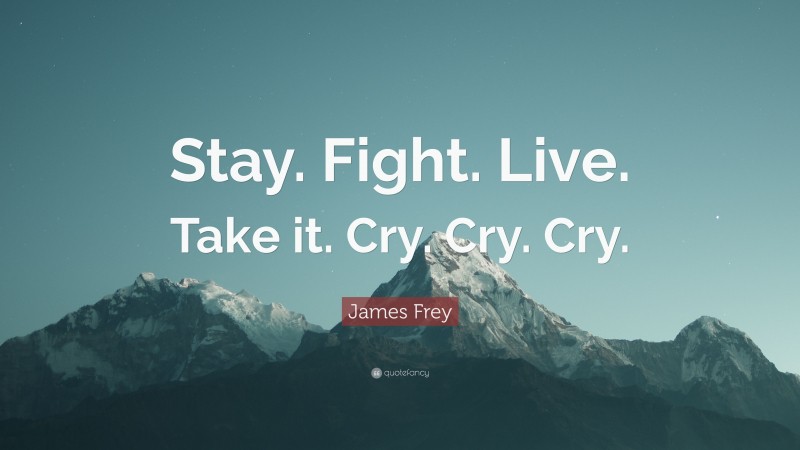 James Frey Quote: “Stay. Fight. Live. Take it. Cry. Cry. Cry.”