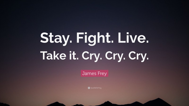 James Frey Quote: “Stay. Fight. Live. Take it. Cry. Cry. Cry.”