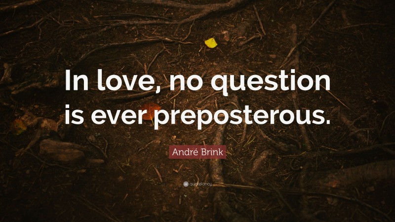 André Brink Quote: “In love, no question is ever preposterous.”