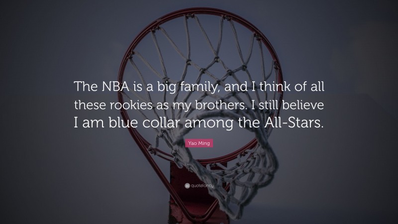 Yao Ming Quote: “The NBA is a big family, and I think of all these rookies as my brothers. I still believe I am blue collar among the All-Stars.”