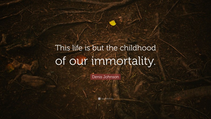 Denis Johnson Quote: “This life is but the childhood of our immortality.”