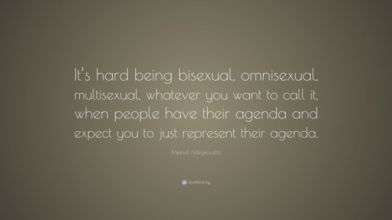 Meshell Ndegeocello Quote: “It’s hard being bisexual, omnisexual, multisexual, whatever you want to call it, when people have their agenda and expect you to just represent their agenda.”