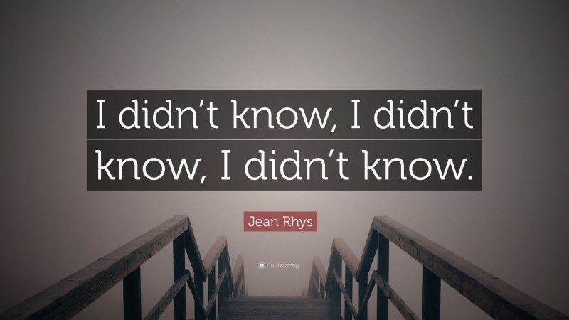 Jean Rhys Quote: “I didn’t know, I didn’t know, I didn’t know.”