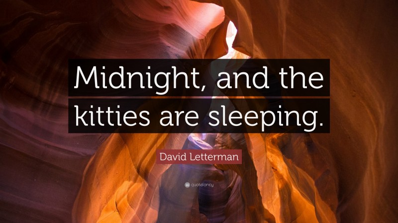 David Letterman Quote: “Midnight, and the kitties are sleeping.”