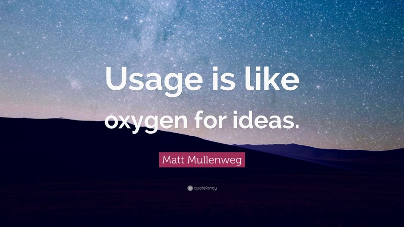 Matt Mullenweg Quote: “Usage is like oxygen for ideas.”