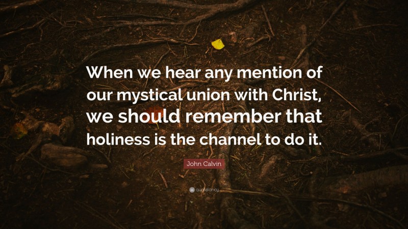 John Calvin Quote: “When we hear any mention of our mystical union with Christ, we should remember that holiness is the channel to do it.”