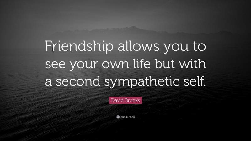 David Brooks Quote: “Friendship allows you to see your own life but with a second sympathetic self.”