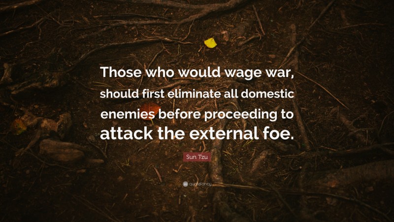 Sun Tzu Quote: “Those who would wage war, should first eliminate all domestic enemies before proceeding to attack the external foe.”