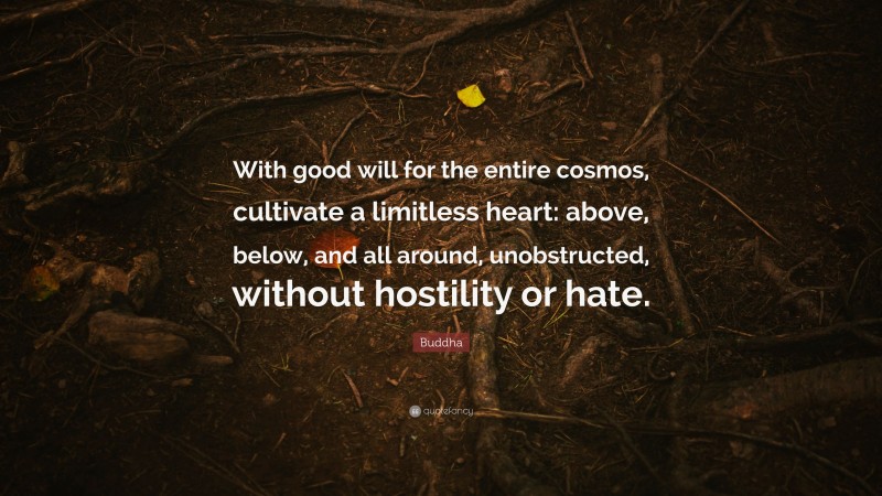 Buddha Quote: “With good will for the entire cosmos, cultivate a limitless heart: above, below, and all around, unobstructed, without hostility or hate.”