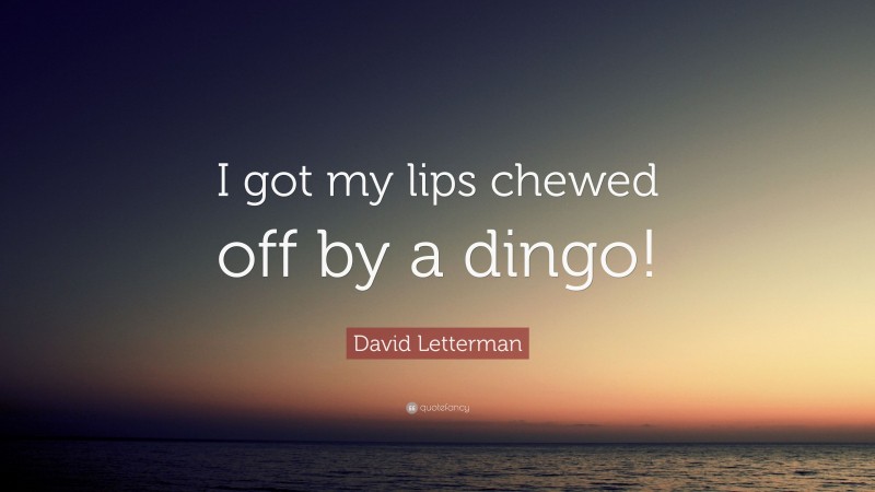 David Letterman Quote: “I got my lips chewed off by a dingo!”