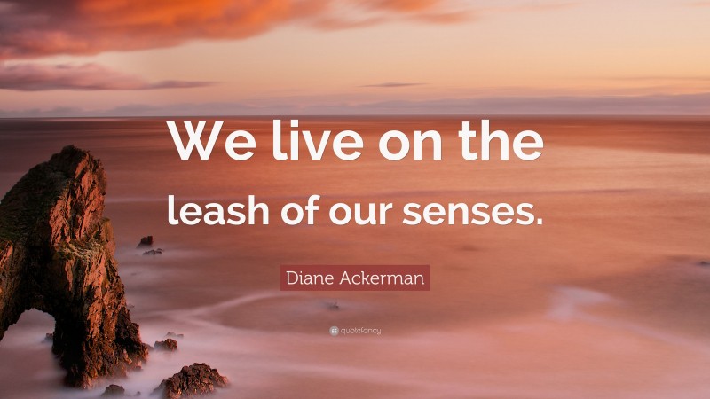 Diane Ackerman Quote: “We live on the leash of our senses.”