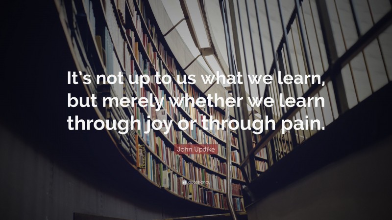 John Updike Quote: “It’s not up to us what we learn, but merely whether we learn through joy or through pain.”