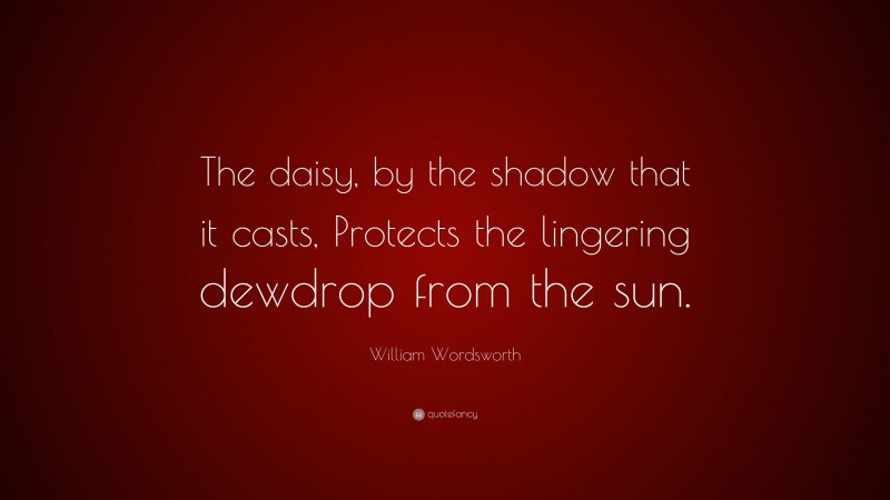 William Wordsworth Quote: “The daisy, by the shadow that it casts, Protects the lingering dewdrop from the sun.”