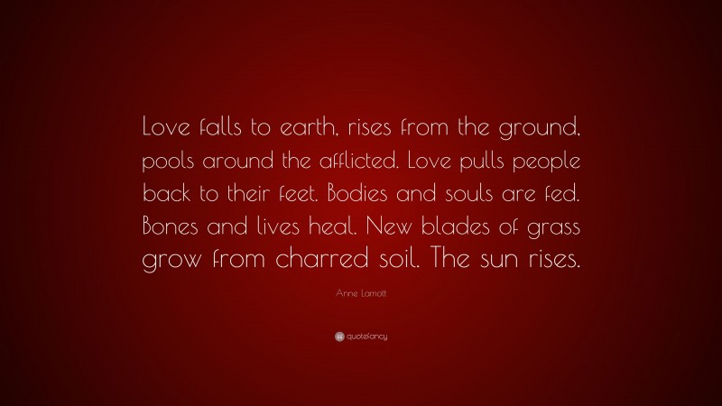 Anne Lamott Quote: “Love falls to earth, rises from the ground, pools around the afflicted. Love pulls people back to their feet. Bodies and souls are fed. Bones and lives heal. New blades of grass grow from charred soil. The sun rises.”