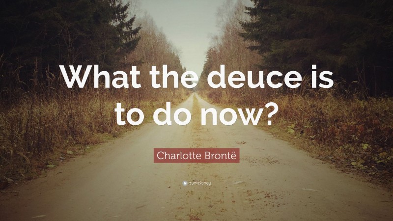Charlotte Brontë Quote: “What the deuce is to do now?”
