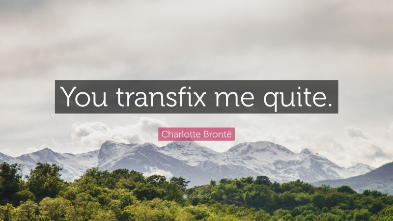 Charlotte Brontë Quote: “You transfix me quite.”