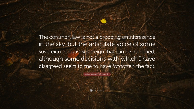 Oliver Wendell Holmes Jr. Quote: “The common law is not a brooding omnipresence in the sky, but the articulate voice of some sovereign or quasi sovereign that can be identified; although some decisions with which I have disagreed seem to me to have forgotten the fact.”