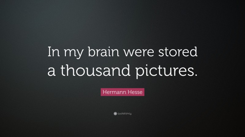 Hermann Hesse Quote: “In my brain were stored a thousand pictures.”