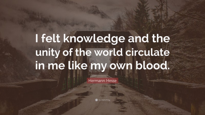 Hermann Hesse Quote: “I felt knowledge and the unity of the world circulate in me like my own blood.”
