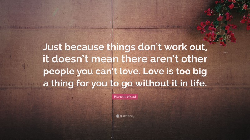 Richelle Mead Quote: “Just because things don’t work out, it doesn’t mean there aren’t other people you can’t love. Love is too big a thing for you to go without it in life.”