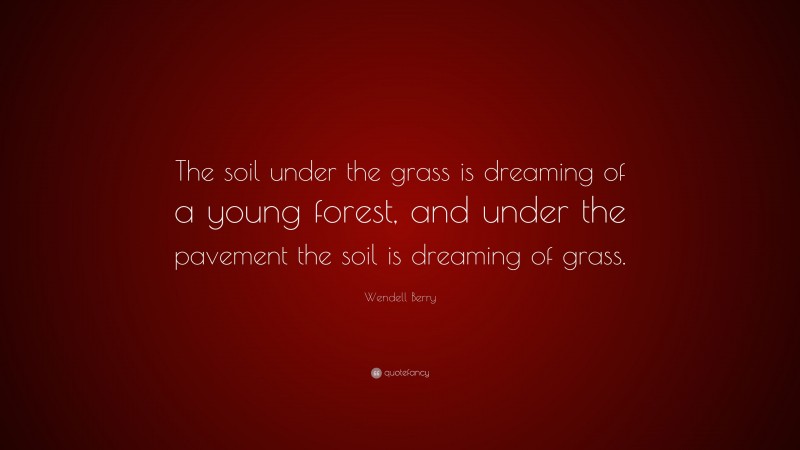 Wendell Berry Quote: “The soil under the grass is dreaming of a young forest, and under the pavement the soil is dreaming of grass.”