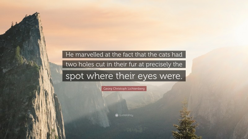 Georg Christoph Lichtenberg Quote: “He marvelled at the fact that the cats had two holes cut in their fur at precisely the spot where their eyes were.”