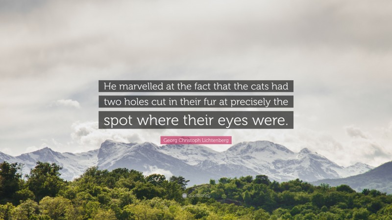 Georg Christoph Lichtenberg Quote: “He marvelled at the fact that the cats had two holes cut in their fur at precisely the spot where their eyes were.”