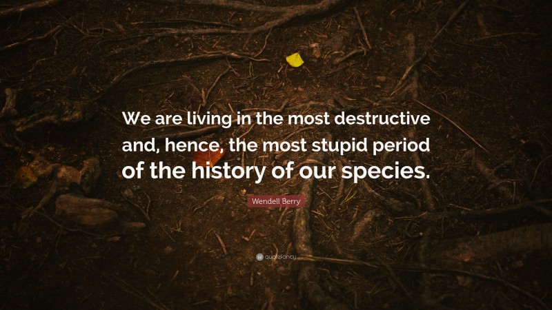 Wendell Berry Quote: “We are living in the most destructive and, hence, the most stupid period of the history of our species.”