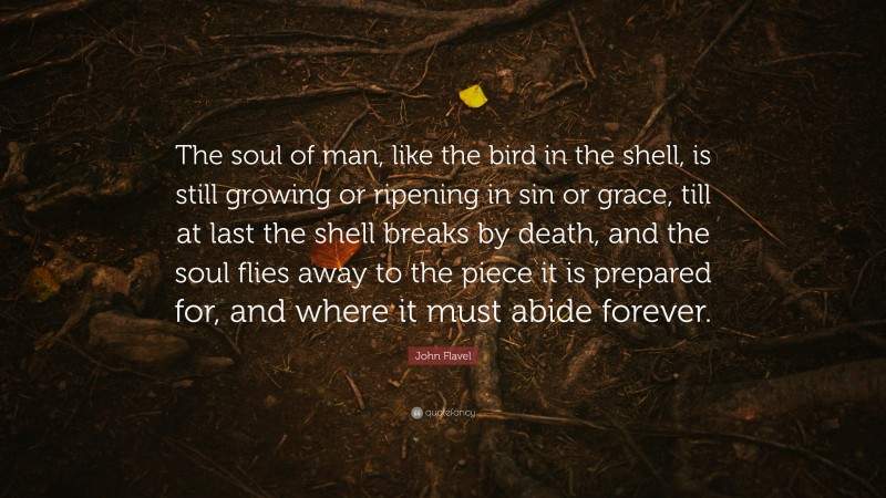 John Flavel Quote: “The soul of man, like the bird in the shell, is still growing or ripening in sin or grace, till at last the shell breaks by death, and the soul flies away to the piece it is prepared for, and where it must abide forever.”