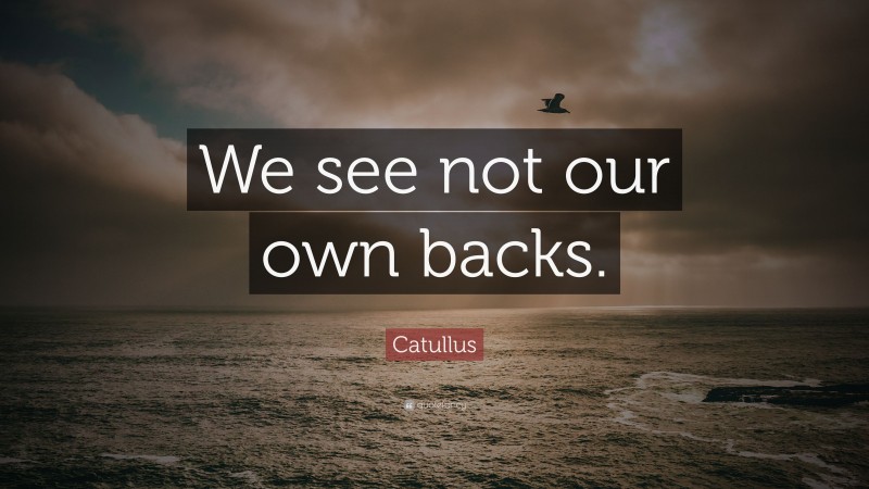 Catullus Quote: “We see not our own backs.”