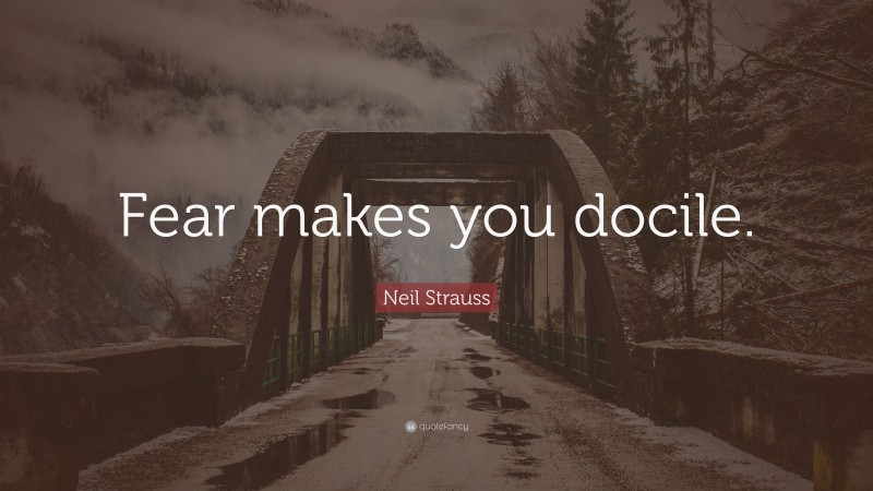 Neil Strauss Quote: “Fear makes you docile.”