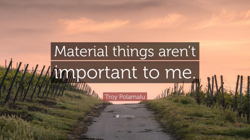 Troy Polamalu Quote: “Material things aren’t important to me.”
