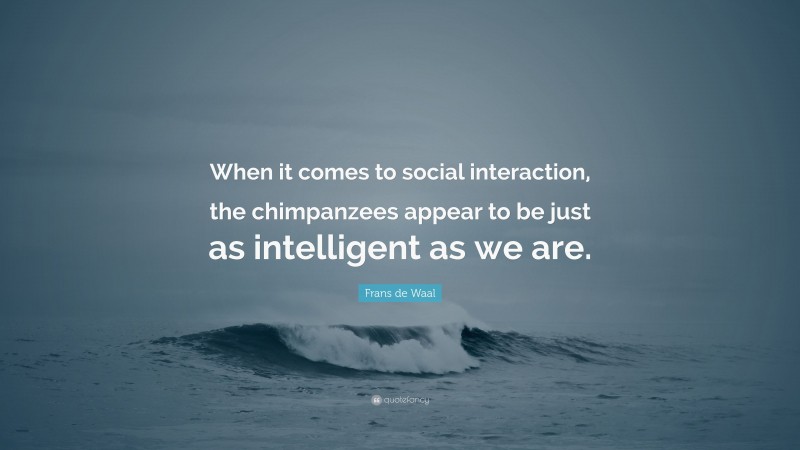 Frans de Waal Quote: “When it comes to social interaction, the chimpanzees appear to be just as intelligent as we are.”