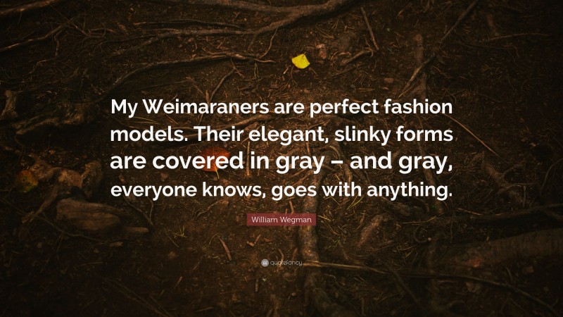 William Wegman Quote: “My Weimaraners are perfect fashion models. Their elegant, slinky forms are covered in gray – and gray, everyone knows, goes with anything.”