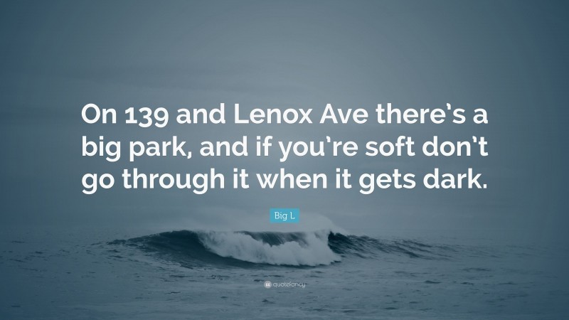 Big L Quote: “On 139 and Lenox Ave there’s a big park, and if you’re soft don’t go through it when it gets dark.”
