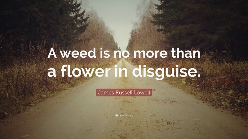 James Russell Lowell Quote: “A weed is no more than a flower in disguise.”