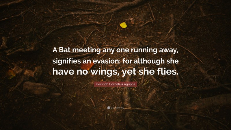 Heinrich Cornelius Agrippa Quote: “A Bat meeting any one running away, signifies an evasion: for although she have no wings, yet she flies.”