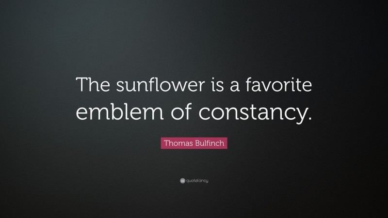 Thomas Bulfinch Quote: “The sunflower is a favorite emblem of constancy.”