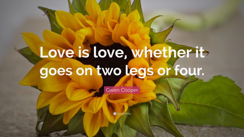 Gwen Cooper Quote: “Love is love, whether it goes on two legs or four.”