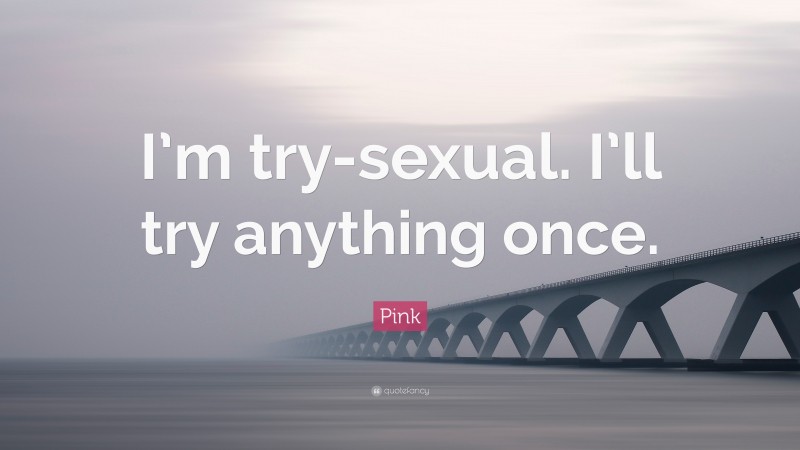 Pink Quote: “I’m try-sexual. I’ll try anything once.”