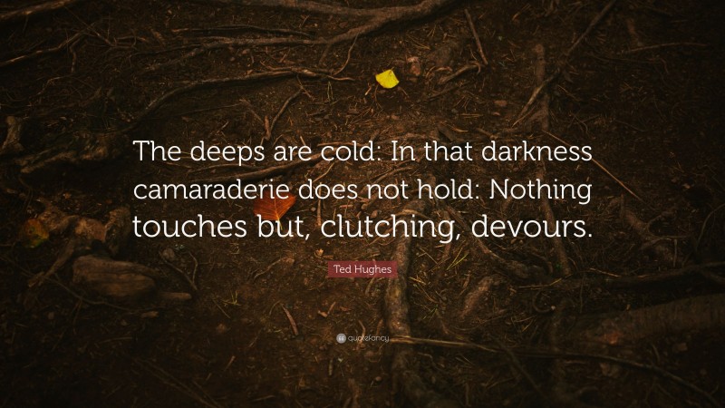 Ted Hughes Quote: “The deeps are cold: In that darkness camaraderie does not hold: Nothing touches but, clutching, devours.”