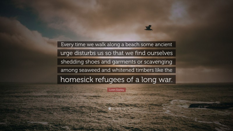 Loren Eiseley Quote: “Every time we walk along a beach some ancient urge disturbs us so that we find ourselves shedding shoes and garments or scavenging among seaweed and whitened timbers like the homesick refugees of a long war.”